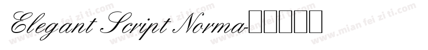 Elegant Script Norma字体转换